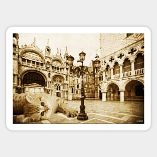 Giant Kitten in Venice 2# Sticker